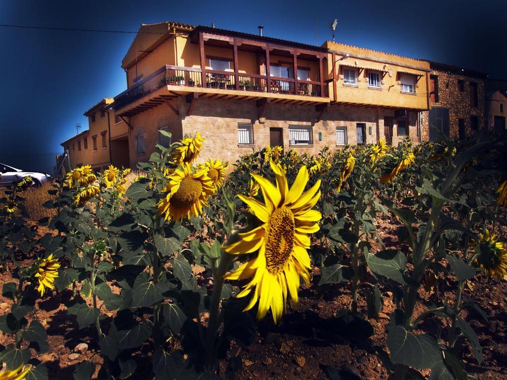 La Antigua Vaqueria Pension Cuenca  Buitenkant foto